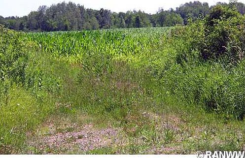 4th image of 0 Gilman Road