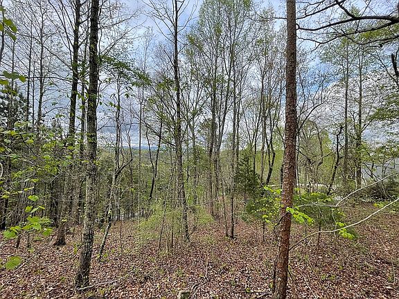 5th image of 126 Preserve Pkwy