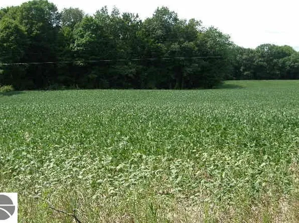 3501 N Bollinger Rd, Vestaburg, MI 48891