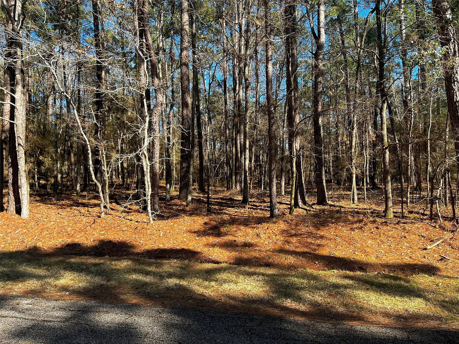 55 Green Tree Dr Lot 13, Coldspring, TX 77331 | MLS #50179119 | Zillow