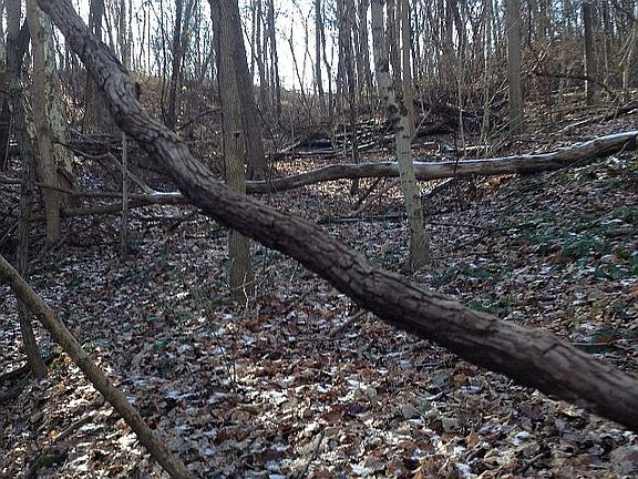 4th image of Larrick Ln