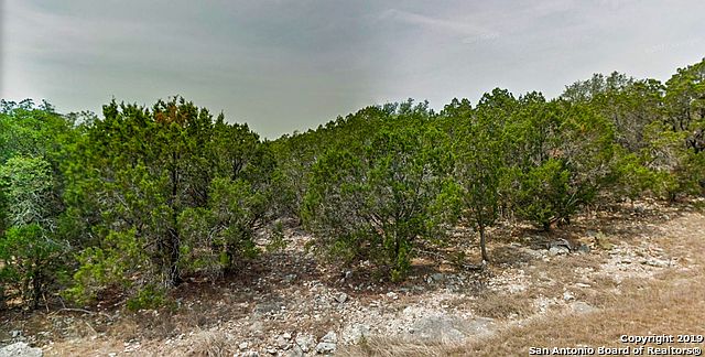 2nd image of 111 Spring Valley Cv