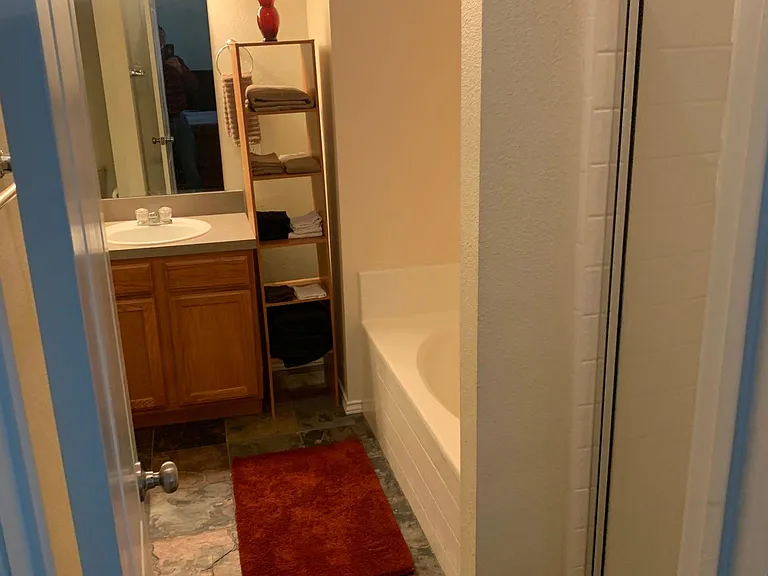 Master , garden tub shower