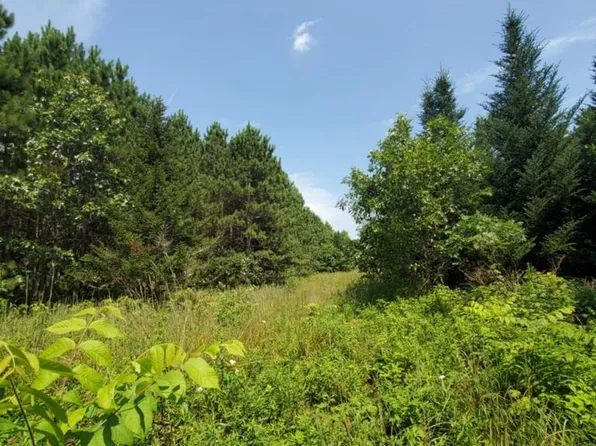 Lt0 TOWN HALL ROAD, Wisconsin Dells, WI 53965