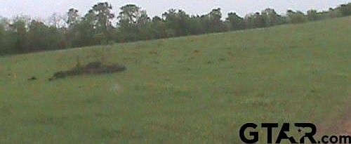 2nd image of 197.459 County Road 2436