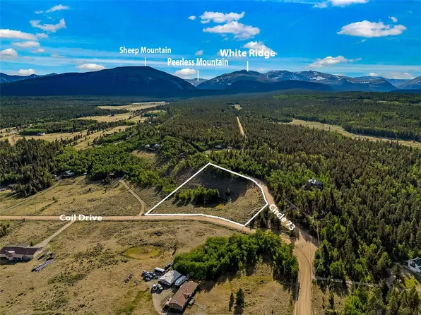 1430 Coil Dr, Fairplay, CO 80440