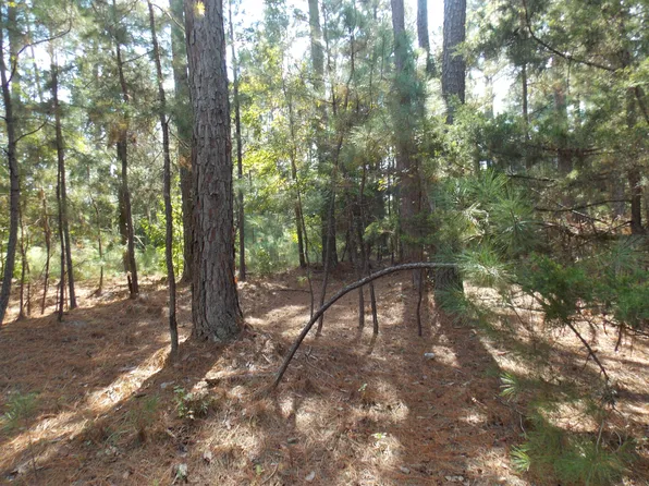 2 SADIE Lane, Lincolnton, GA 30817