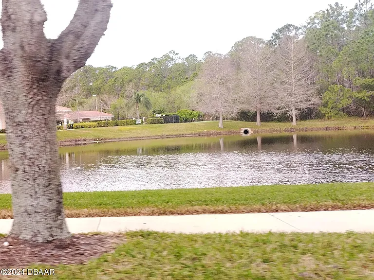 1643 Areca Palm Dr — Photo 16