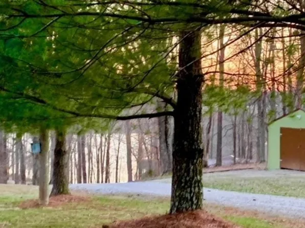 216 Cave Heights Ln, Falls Of Rough, KY 40119