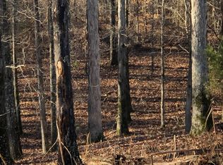 515 Massey Holland Rd, Golden, MS 38847