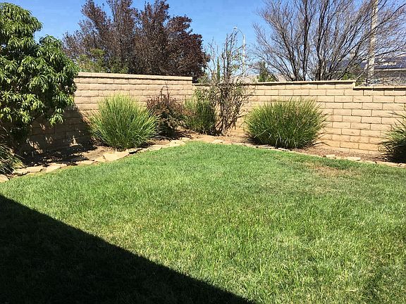 Backyard grass area