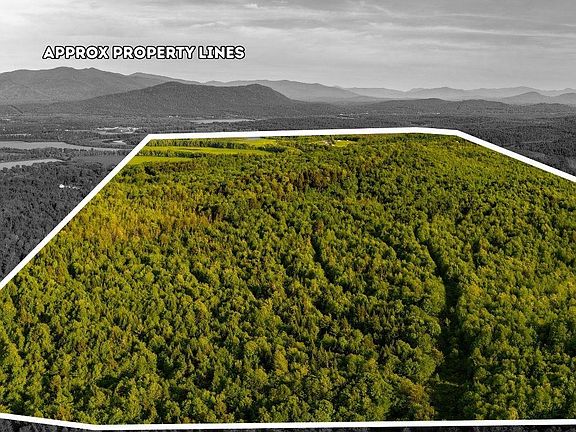 4th image of 3180 Bear Hill Road #1