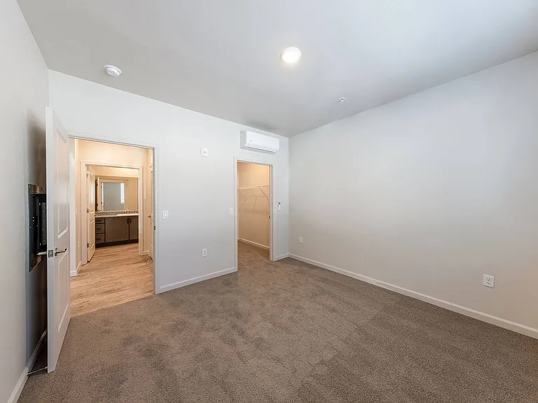 Springview by Vintage — Photo 11