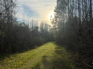 0 W Parker Rd, Sylvania, GA 30467