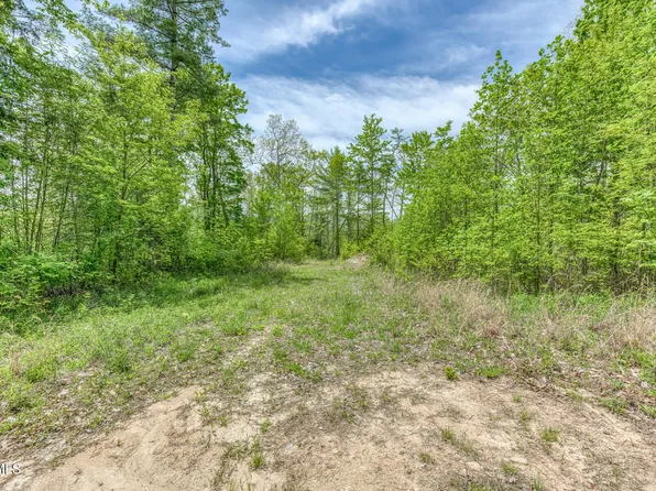 162 Murph Potter Ln, Roan Mountain, TN 37687