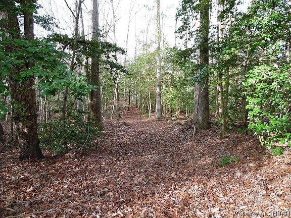 3rd image of LOT 19 Mill Pond Dr Lot 19
