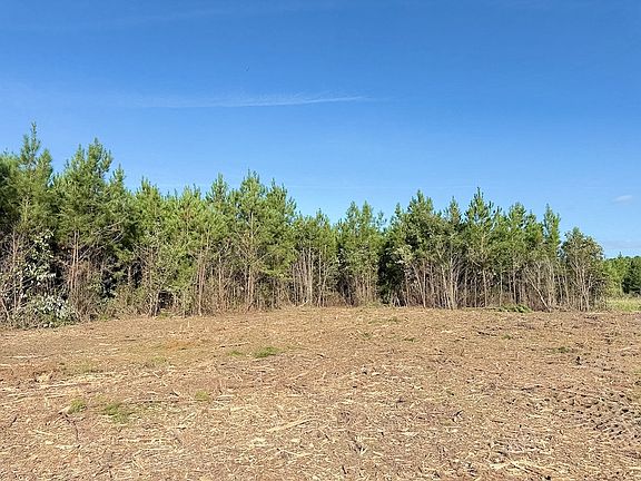 4th image of 5200 Reba Rd
