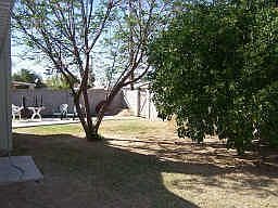 5th image of 2510 W Corrine Dr