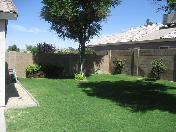 new grass and rock - june 2007