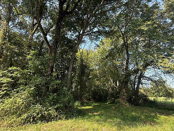 3rd image of 0 Clement Rd