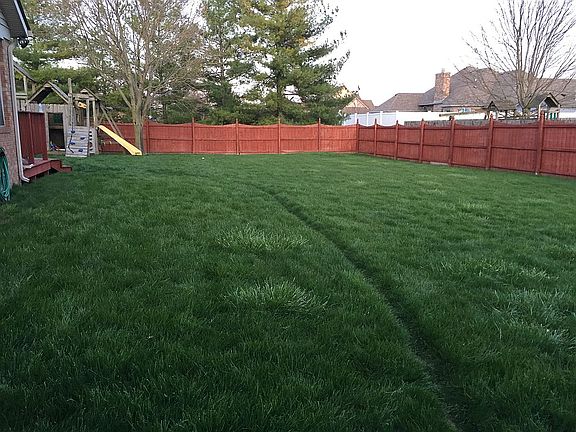 Spacious Back Yard