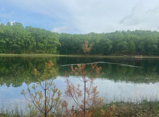 0 W Horizon Dr, Baldwin, MI 49304