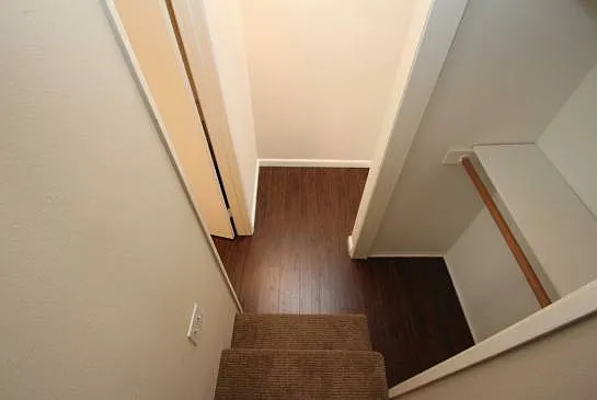 28310 Rey De Copas Ln — Photo 29