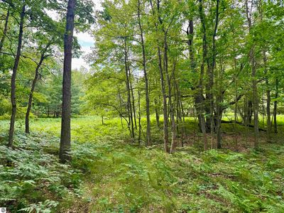 PARCEL W Rosted Rd #M, Lake City, MI, 49651