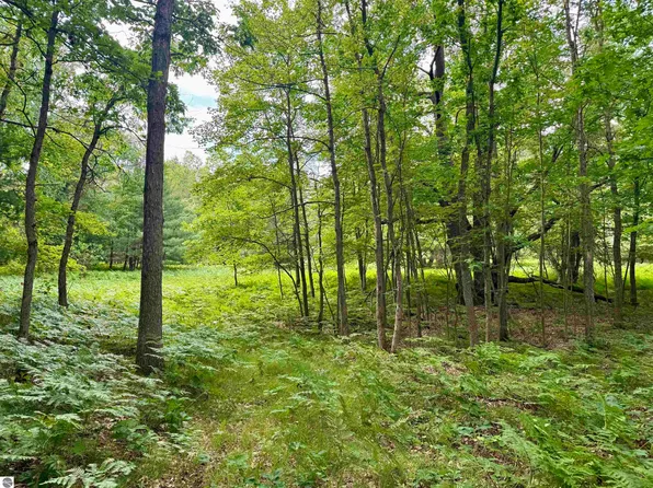 PARCEL W Rosted Rd #M, Lake City, MI 49651