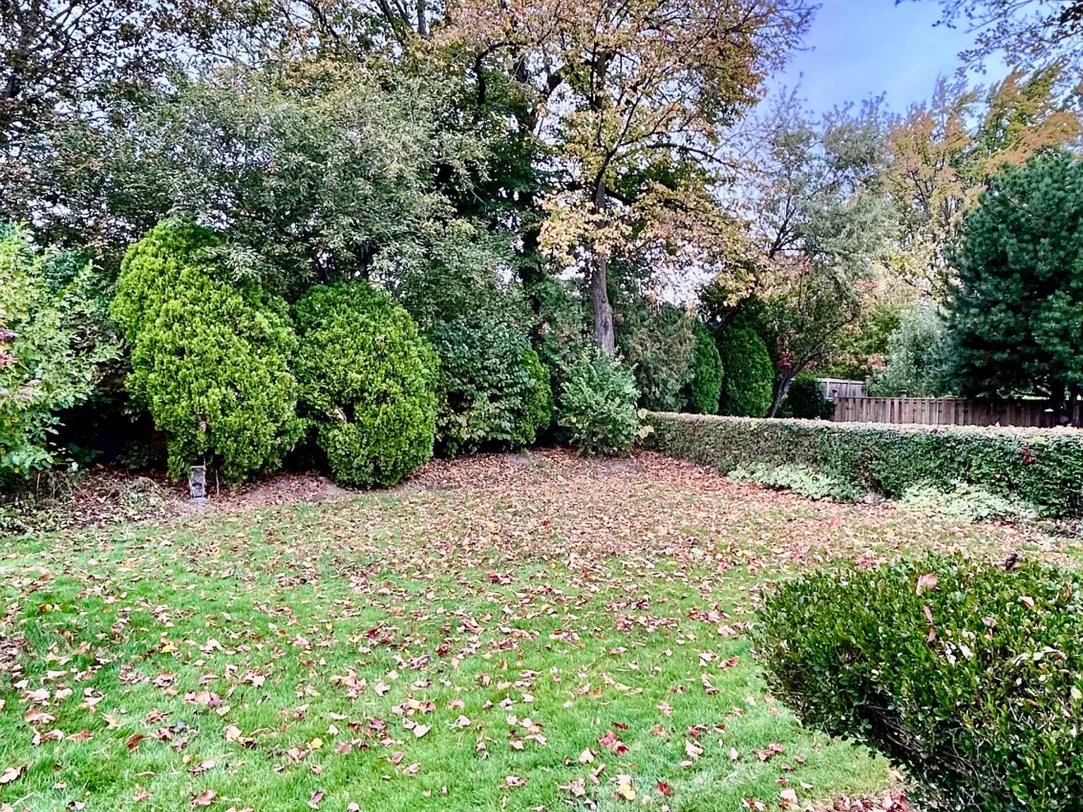 3 bed, $3,250 — Photo 2