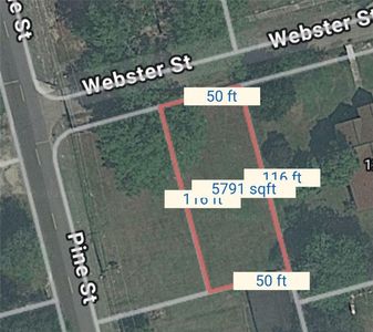 Webster St, Independence, LA, 70443