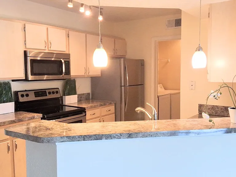 12500 Crest Springs Ln #1031 — Photo 5