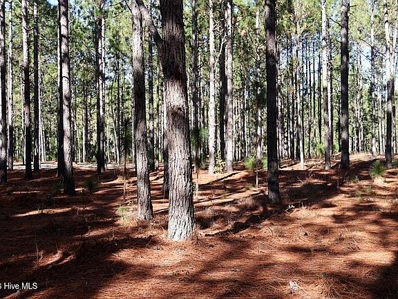 5th image of Stuarts Mill Rd Lot 9