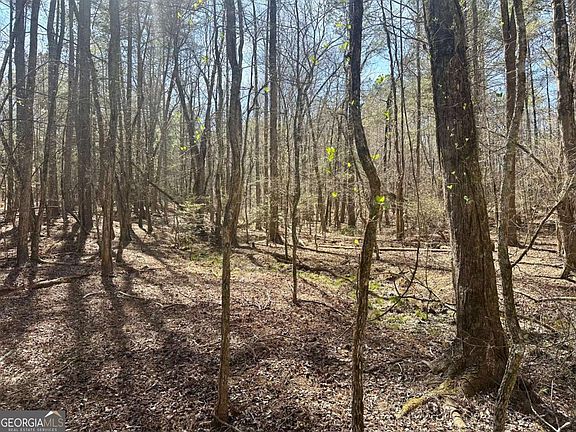 3rd image of 555 Larmon Forks Rd