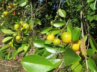 Malolo St LOT 1051, Pahoa, HI 96778