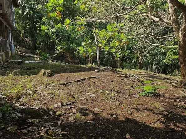 (undisclosed Address), Gurabo, PR 00778