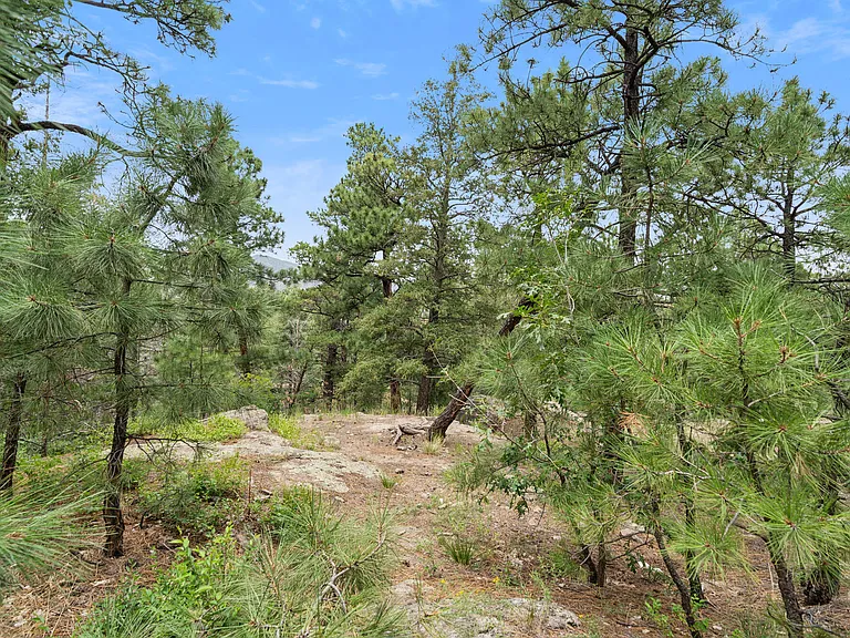 Canyon Village — Photo 17