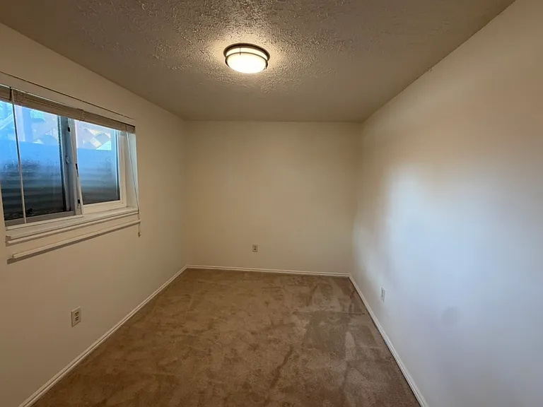 10680 S Carrington St — Photo 32