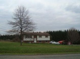 373 Fredericks Rd, Johnson City, NY 13790