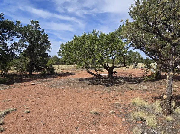 3730 S Canyon Vista Rd, Williams, AZ 86046