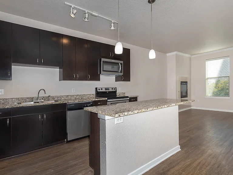 Kitchen and Living Area with Hard Surface Flooring