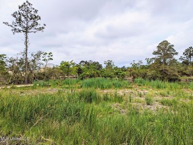 Nhn Whale Ave, Bay Saint Louis, MS, 39520