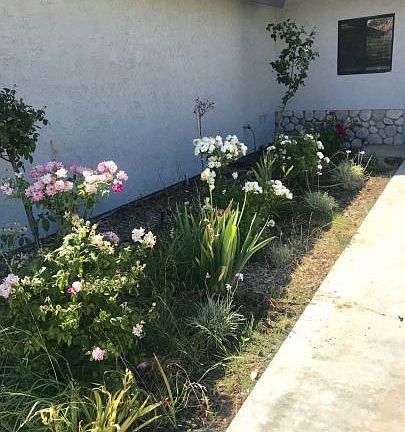 2nd image of 1209 Denise Ave