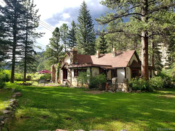 326 Insmont Drive, Bailey, CO 80421