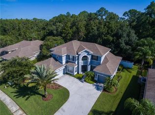 16144 Ivy Lake Dr, Odessa, FL 33556