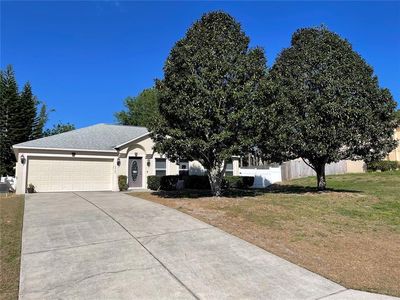 15745 Switch Cane St, Clermont, FL, 34711