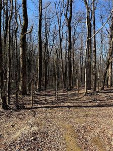 6180 Burnt Mountain Rd #64, Ellijay, GA, 30536