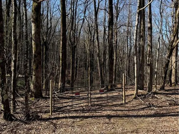 6180 Burnt Mountain Rd #64, Ellijay, GA 30536