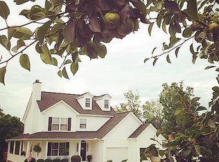 212 Painted Pony Ct, Elgin, SC 29045