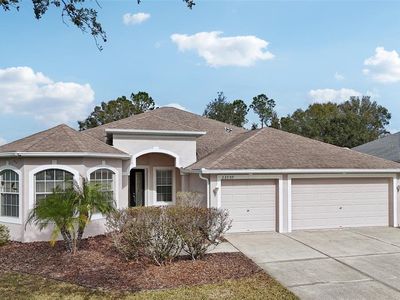22707 Eagles Watch Dr, Land O Lakes, FL, 34639